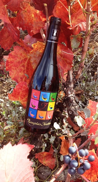 Le Beaujolais Nouveau : un produit de terroir artisanal bien évidemment !